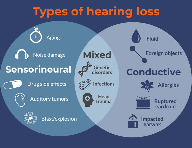Featured image for “Types of Hearing Loss”