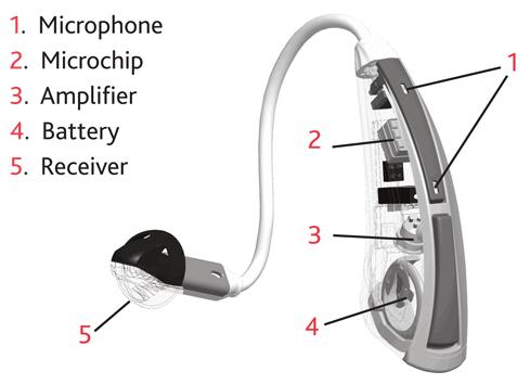 Parts of a Hearing Aid